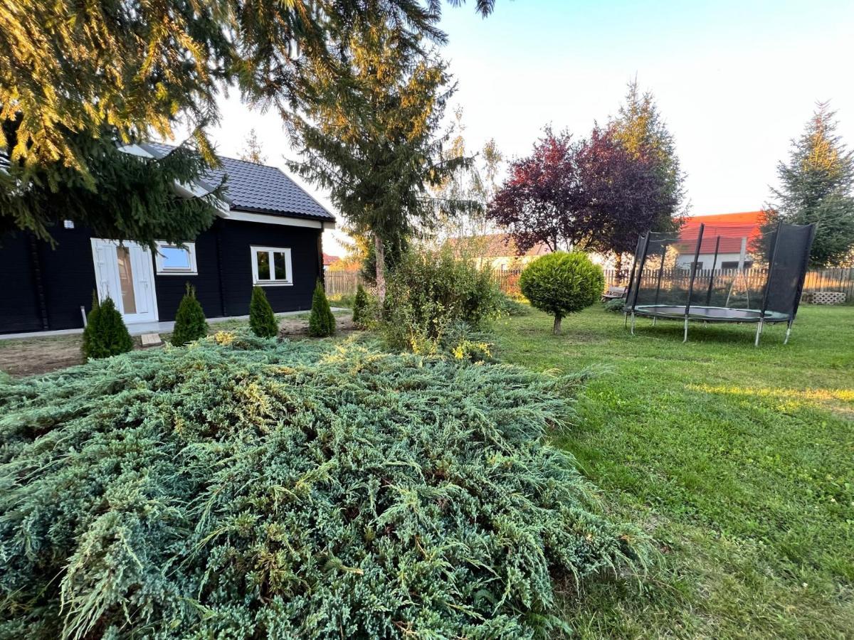Vila Scandinavia Sîngeorgiu de Mureş 외부 사진