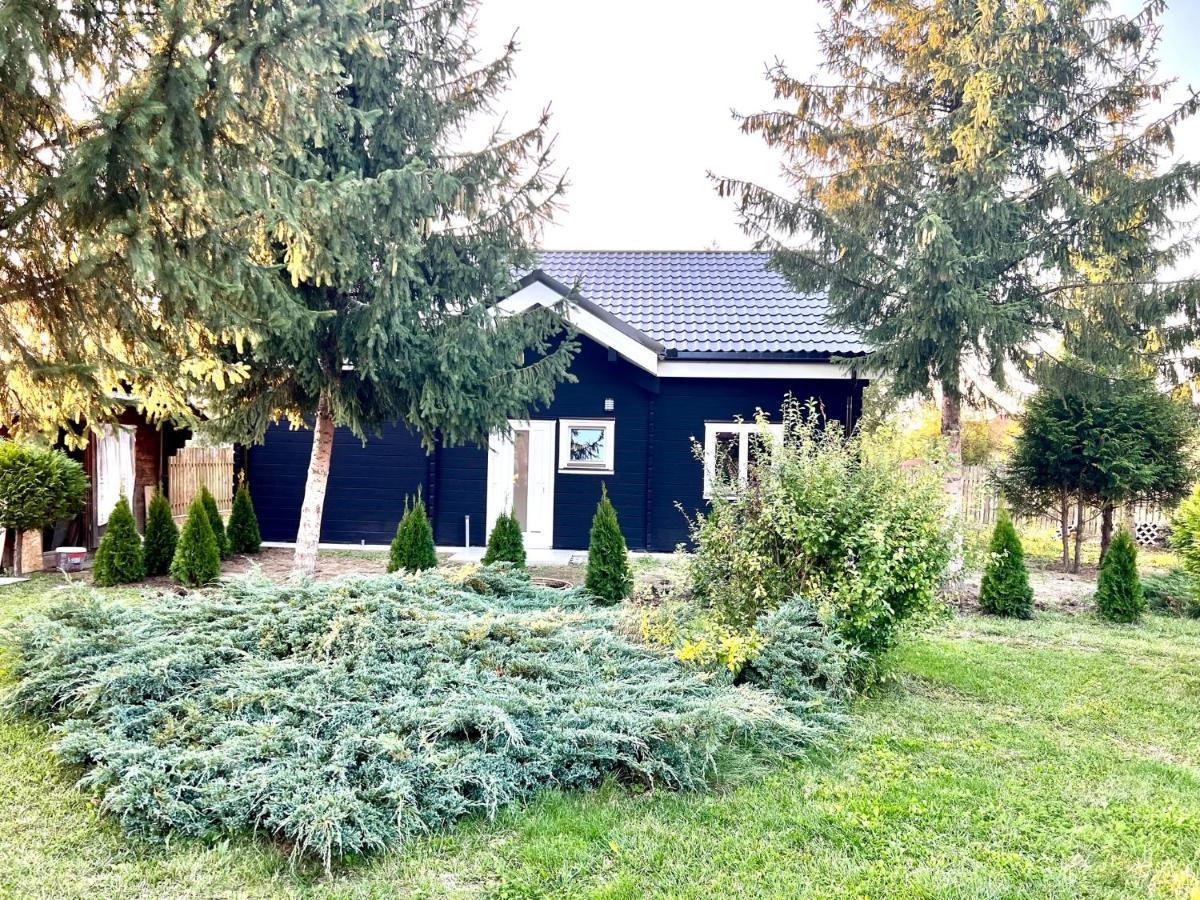 Vila Scandinavia Sîngeorgiu de Mureş 외부 사진